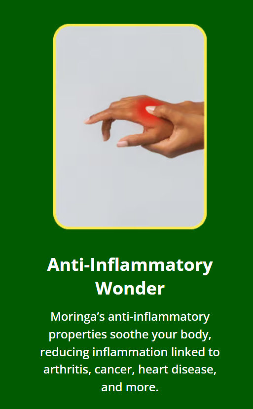 Moringa Anti-Inflammatory Effects.
