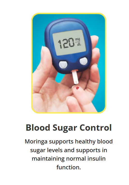Blood Sugar Control Moringa