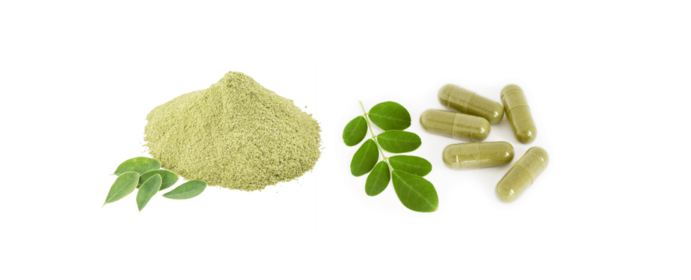Moringa leaves, moringa capsules