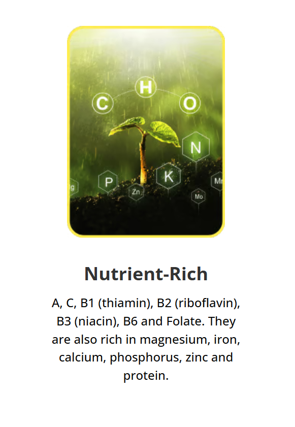 nutrient-rich supplement